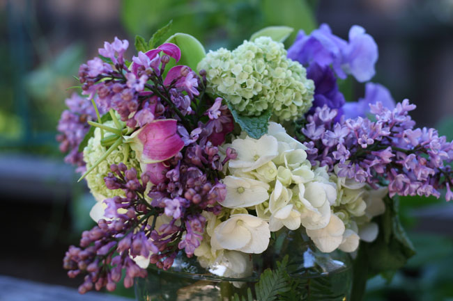 sangria 2010: the flowers