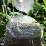 Grey sea salt (we still have some!)