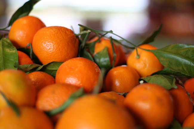 how i spent small business saturday