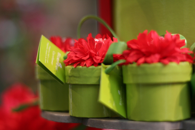 how i spent small business saturday