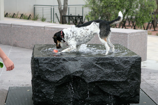 how much is that doggie in the fountain?