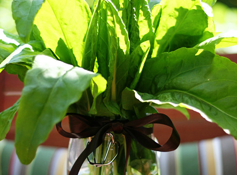 Simple gifts from the garden