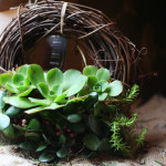 how to tell if you're obsessed with UFG