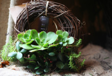 how to tell if you're obsessed with UFG