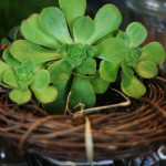 how to tell if you're obsessed with UFG