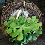 how to tell if you're obsessed with UFG