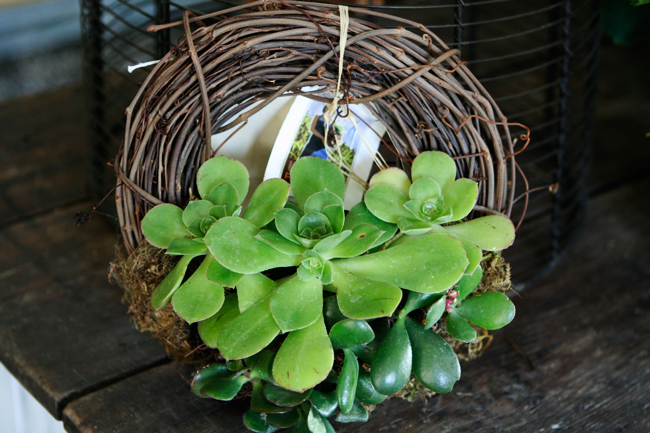 how to tell if you're obsessed with UFG