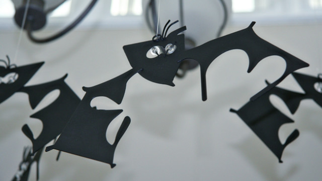 Bats in the belfry (sort of...)