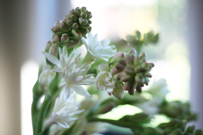 (virtually) in Hawaii