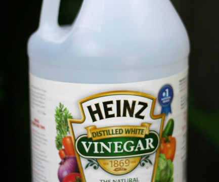 my house smells like vinegar