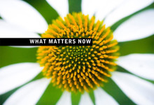 what matters now: get the free ebook