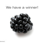 'dirt' & jam giveaway: winner!